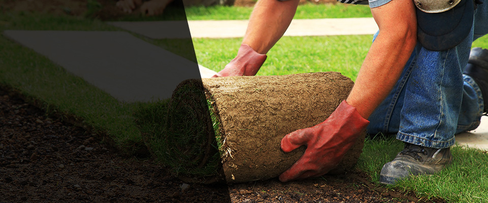 Archbold Landscapers